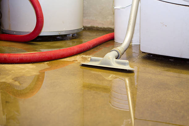 Reliable Grosse Pointe, MI Water damage restoration Solutions